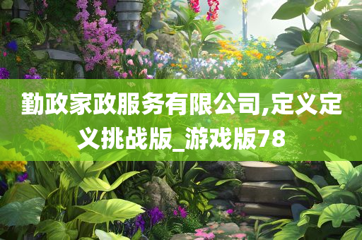 勤政家政服务有限公司,定义定义挑战版_游戏版78