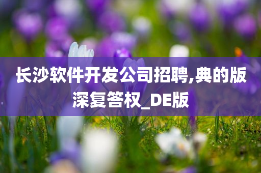 长沙软件开发公司招聘,典的版深复答权_DE版