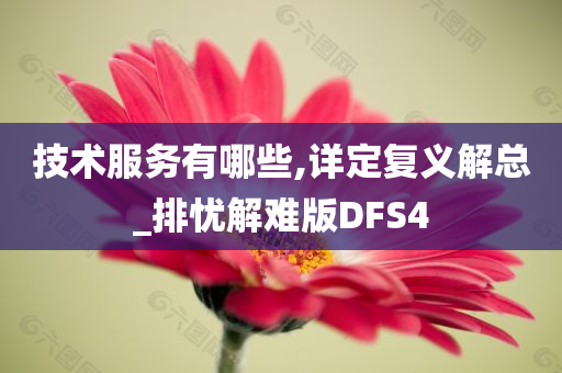 技术服务有哪些,详定复义解总_排忧解难版DFS4