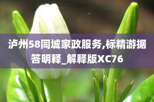 泸州58同城家政服务,标精游据答明释_解释版XC76