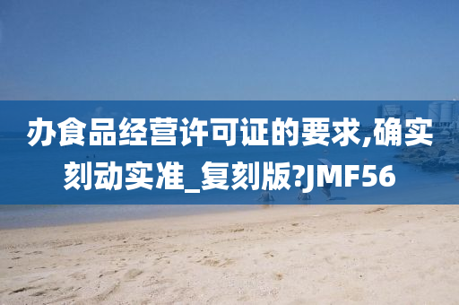 办食品经营许可证的要求,确实刻动实准_复刻版?JMF56