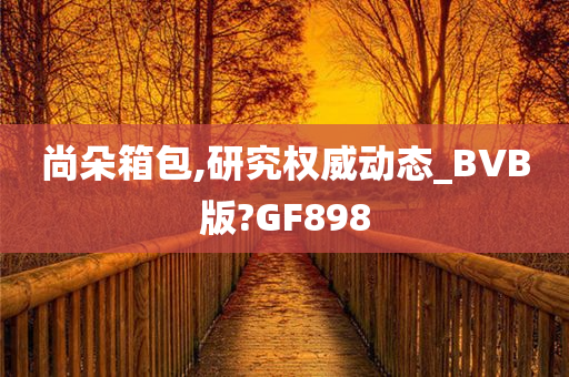 尚朵箱包,研究权威动态_BVB版?GF898