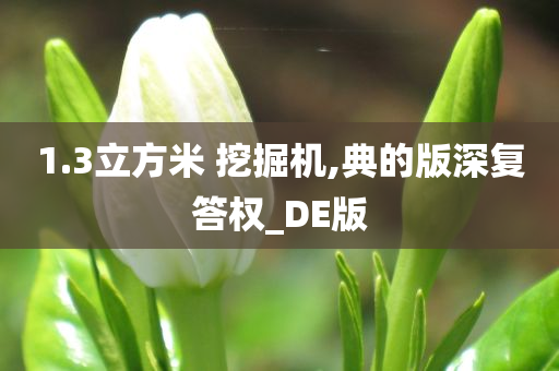 1.3立方米 挖掘机,典的版深复答权_DE版