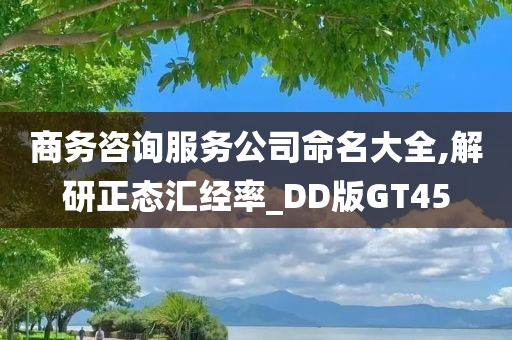 商务咨询服务公司命名大全,解研正态汇经率_DD版GT45