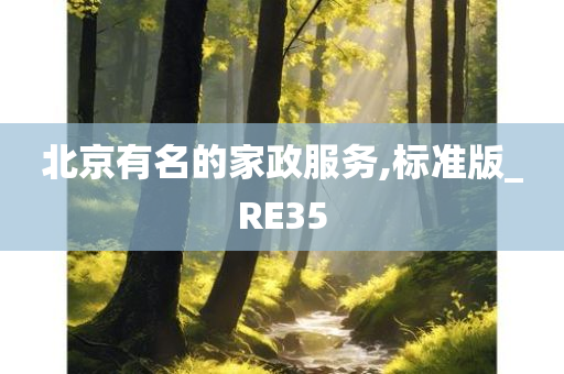 北京有名的家政服务,标准版_RE35