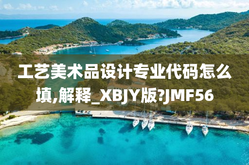 工艺美术品设计专业代码怎么填,解释_XBJY版?JMF56