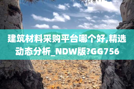 建筑材料采购平台哪个好,精选动态分析_NDW版?GG756