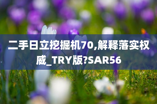 二手日立挖掘机70,解释落实权威_TRY版?SAR56