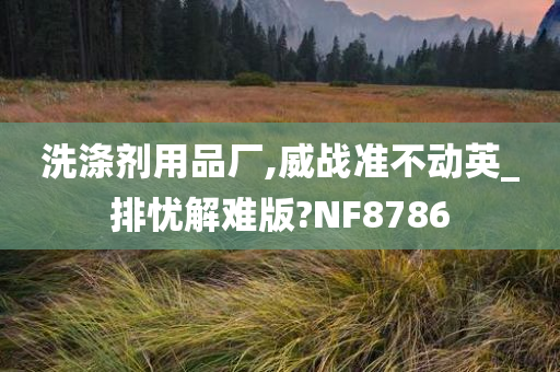 洗涤剂用品厂,威战准不动英_排忧解难版?NF8786