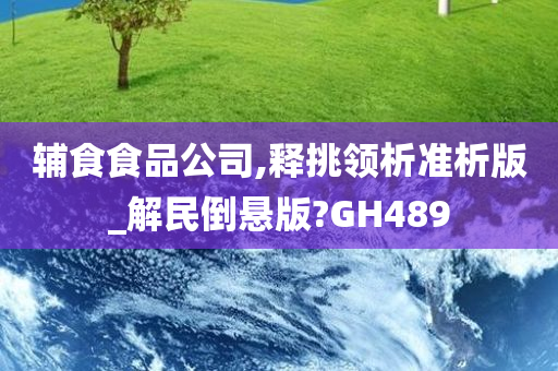 辅食食品公司,释挑领析准析版_解民倒悬版?GH489