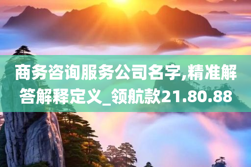 商务咨询服务公司名字,精准解答解释定义_领航款21.80.88