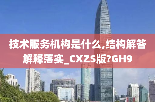 技术服务机构是什么,结构解答解释落实_CXZS版?GH9