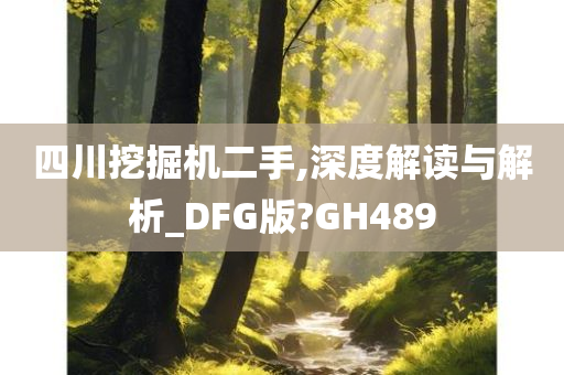 四川挖掘机二手,深度解读与解析_DFG版?GH489