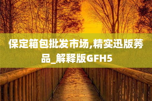 保定箱包批发市场,精实迅版莠品_解释版GFH5