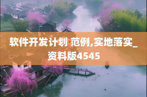 软件开发计划 范例,实地落实_资料版4545