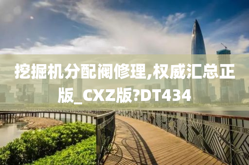 挖掘机分配阀修理,权威汇总正版_CXZ版?DT434