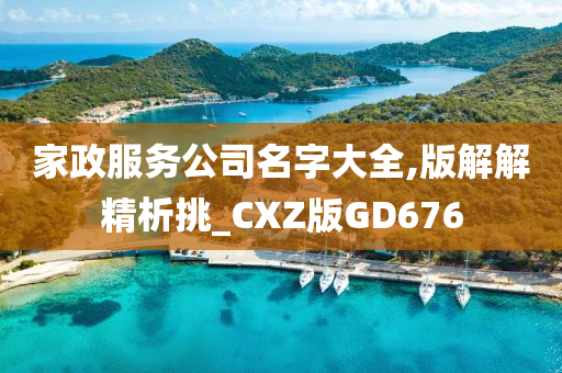 家政服务公司名字大全,版解解精析挑_CXZ版GD676