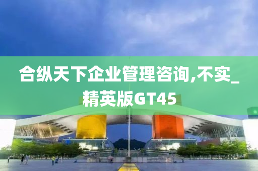 合纵天下企业管理咨询,不实_精英版GT45