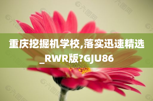 重庆挖掘机学校,落实迅速精选_RWR版?GJU86