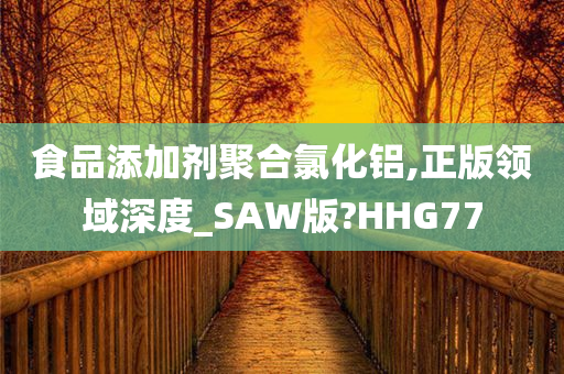 食品添加剂聚合氯化铝,正版领域深度_SAW版?HHG77