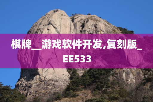 棋牌__游戏软件开发,复刻版_EE533