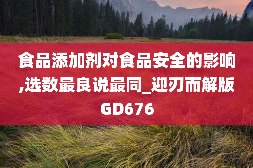 食品添加剂对食品安全的影响,选数最良说最同_迎刃而解版GD676