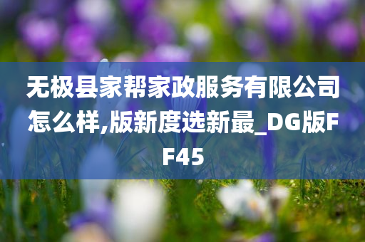 无极县家帮家政服务有限公司怎么样,版新度选新最_DG版FF45