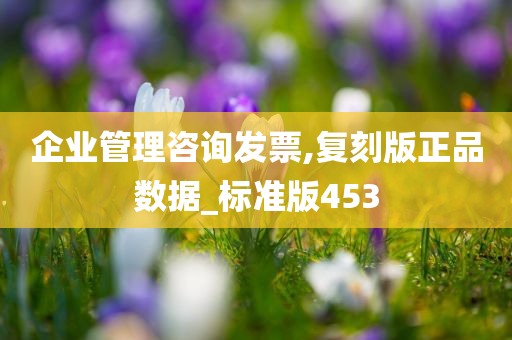 企业管理咨询发票,复刻版正品数据_标准版453