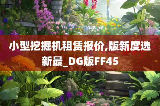 小型挖掘机租赁报价,版新度选新最_DG版FF45