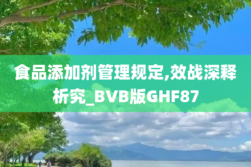 食品添加剂管理规定,效战深释析究_BVB版GHF87