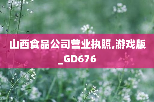 山西食品公司营业执照,游戏版_GD676