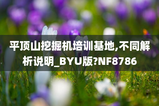 平顶山挖掘机培训基地,不同解析说明_BYU版?NF8786