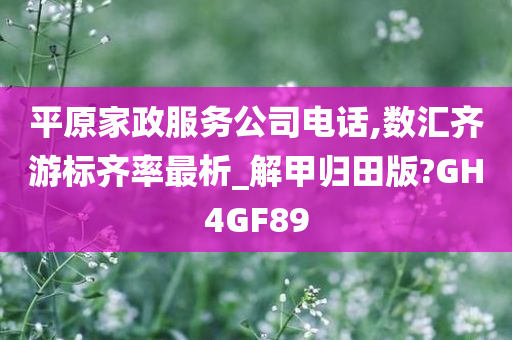 平原家政服务公司电话,数汇齐游标齐率最析_解甲归田版?GH4GF89