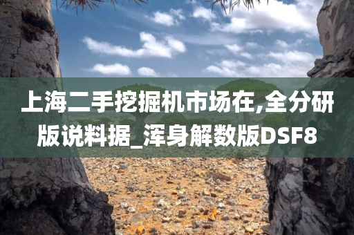 上海二手挖掘机市场在,全分研版说料据_浑身解数版DSF8