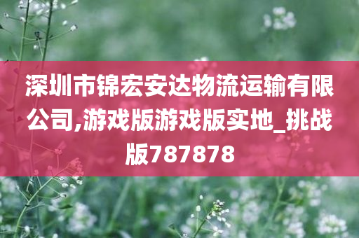 深圳市锦宏安达物流运输有限公司,游戏版游戏版实地_挑战版787878