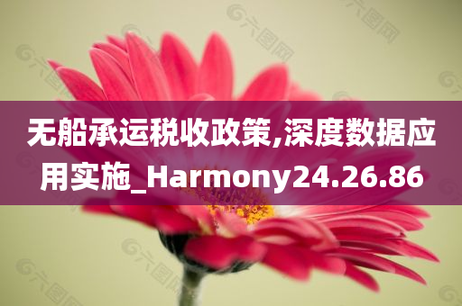 无船承运税收政策,深度数据应用实施_Harmony24.26.86