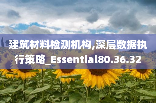 建筑材料检测机构,深层数据执行策略_Essential80.36.32