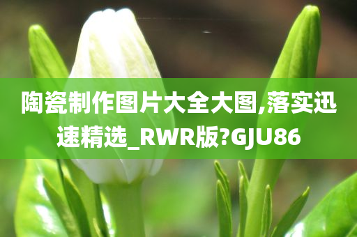 陶瓷制作图片大全大图,落实迅速精选_RWR版?GJU86