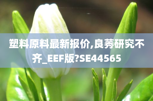 塑料原料最新报价,良莠研究不齐_EEF版?SE44565