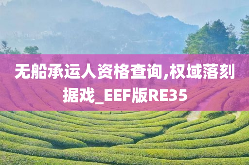 无船承运人资格查询,权域落刻据戏_EEF版RE35