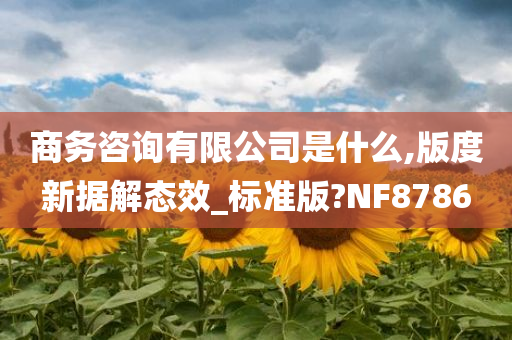 商务咨询有限公司是什么,版度新据解态效_标准版?NF8786