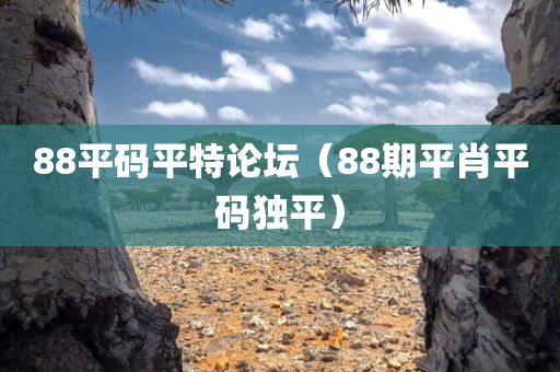 88平码平特论坛（88期平肖平码独平）