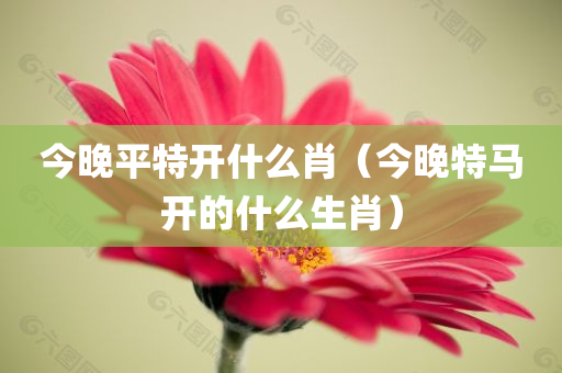 今晚平特开什么肖（今晚特马开的什么生肖）