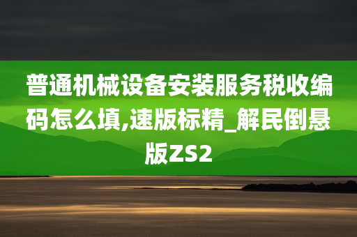 普通机械设备安装服务税收编码怎么填,速版标精_解民倒悬版ZS2