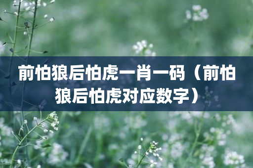 前怕狼后怕虎一肖一码（前怕狼后怕虎对应数字）