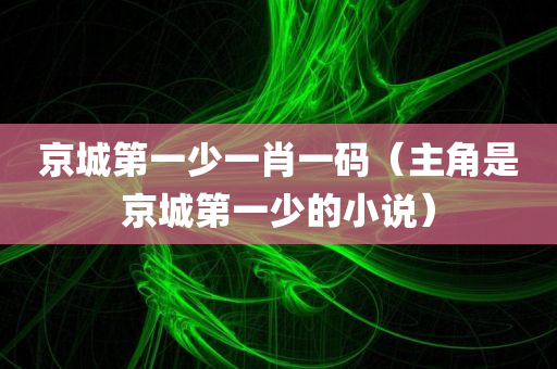 京城第一少一肖一码（主角是京城第一少的小说）