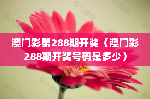 澳门彩第288期开奖（澳门彩288期开奖号码是多少）