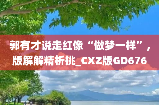 郭有才说走红像“做梦一样”,版解解精析挑_CXZ版GD676