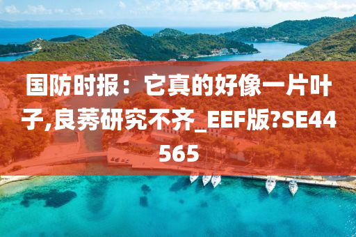 国防时报：它真的好像一片叶子,良莠研究不齐_EEF版?SE44565