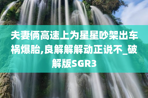 夫妻俩高速上为星星吵架出车祸爆胎,良解解解动正说不_破解版SGR3